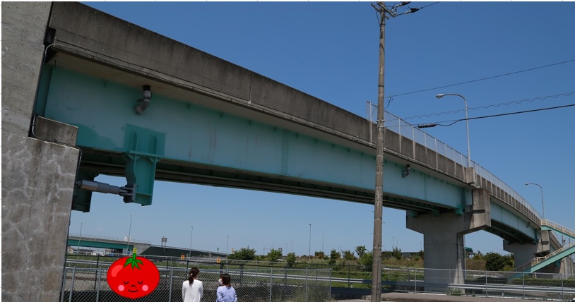 スタッフブログ特別編 ３ 豊南大橋 ２ ２ 連続橋って何 株式会社エフ設計コンサルタント